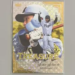 BBM 2025 坂本誠志郎 TREASURE 25枚限定