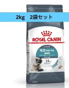 Item thumbnail for item 3c5d65d9-105d-4249-93ab-a35368248460