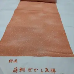 Item thumbnail for item 041fd1fe-e1b9-4f2a-ac83-d45b2148c9b7