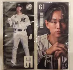千葉ロッテマリーンズ 選手フォトシール 山本大斗