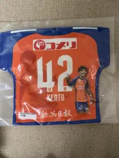 アルビレックス新潟　ガラポン　2024 マッチデークッション42橋本健人