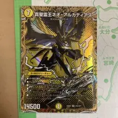 【メルカリ便】真聖霊王ネオアルカディアス　シク