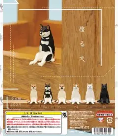 【激レア】座る犬 ガチャ 5点セット