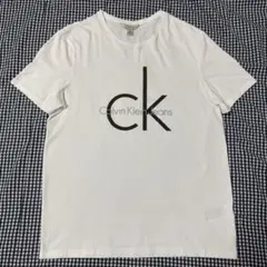 【美品】Calvin Klein Jeans ロゴTシャツ Mサイズ 白