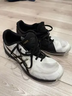 Item thumbnail for item 6f1cc836-8007-46de-ab5a-43ae3513a9ee