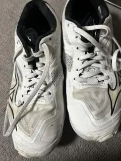 Mizuno Wave Lightning