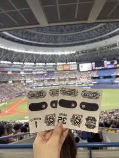 阪神タイガース アイブラックシール