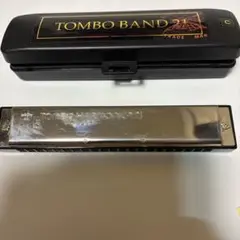 Item thumbnail for item 40f19739-08d4-4bcf-9b4e-41300cf65d07