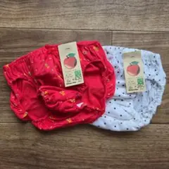 Item thumbnail for item b068892d-9d05-47d8-9b99-44323a1c0094