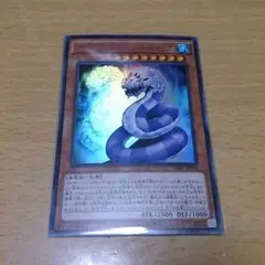 2025年最新】遊戯王 カイザーシースネークの人気アイテム - メルカリ