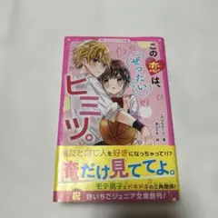 この恋は、ぜったいヒミツ。