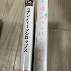 BL 漫画 2冊セット 専用