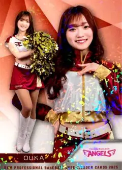 Item thumbnail for item d5c28c88-d82a-4018-bc62-70b8637479e5