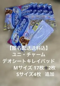 Item thumbnail for item defb1459-678d-4472-baa3-8a02e69967df