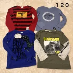 恐竜　男の子　ロンT カットソー　トップス 120 まとめ売り　長袖