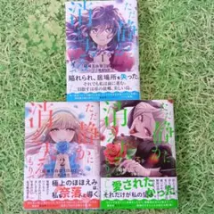 ただ静かに消え去るつもりでした1.2.3