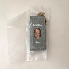 ディズニー　ohora ミニチュアパッケージコレクション　ティンカーベル