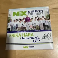【新品未使用】ERIKA HARA TOUR B X ゴルフボール 4個入り