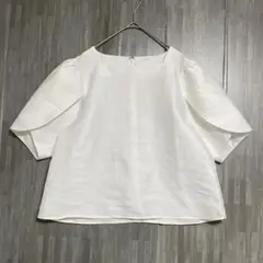 Item thumbnail for item 6cca1edf-486a-40c1-950c-eea9f8455d89