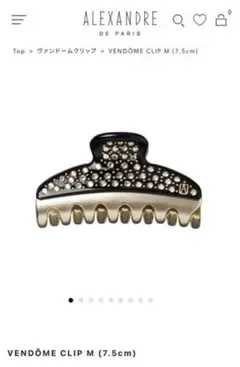 【最終値下げ】アレクサンドル ドゥ パリ VENDOME