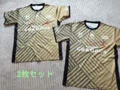 名古屋グランパス 応援ユニフォーム　Fサイズ 2枚セット