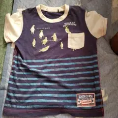 SOUTH COURSE ペンギンTシャツ　半袖130 夏服　キッズ