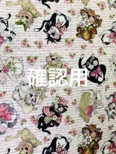 確認用　ロラライハリス　ファンシーキャット