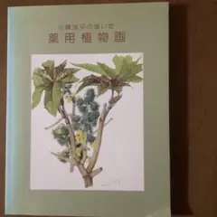 小磯良平/植物画・オオバナセツコク/サイン入り/額付 小磯良平/植物画・オオバナセツコク/サイン入り/額付 - メルカリ