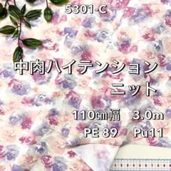 Item thumbnail for item 2bf52a3e-3811-4655-a157-f3662cb5c340