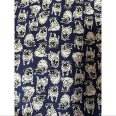 Item thumbnail for item b8391e61-41eb-4395-81a7-3b752b78bdab