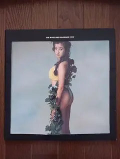 Rie Miyazawa Calendar 宮沢りえ1990カレンダー