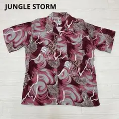 Item thumbnail for item 28df0824-317b-4ed4-a26a-bcdafe85e5ae