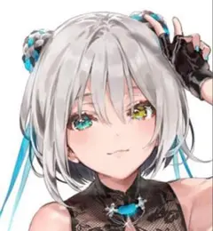 メイメイ 特典ポストカード付