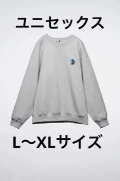 アーダーエラー×ZARA スウェット　タグ付き未使用 アーダーエラー×ZARA スウェット タグ付き未使用