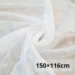 Item thumbnail for item 5a3d9407-cbb7-4ffd-9a58-e16186d3550b