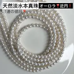 Item thumbnail for item cb05e96e-69f0-428e-bdc0-d095c9b6fa4e