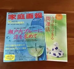 家庭画報 2025年７月号.プレミアムライト版×別冊付録