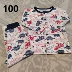 恐竜柄長袖パジャマ ワッフル生地　100センチ