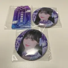 iLiFE 武道館 ONELiFE ガラポン くじ アクキー 純嶺みき 缶バッジ