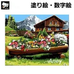 E811 大人の塗り絵 ペイントバイナンバー 数字塗り絵 油絵