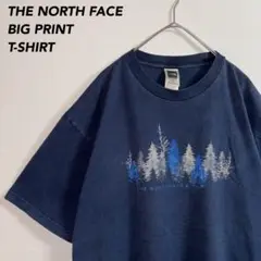 《ビッグプリント》THE NORTH FACE ノースフェイスTシャツサイズM