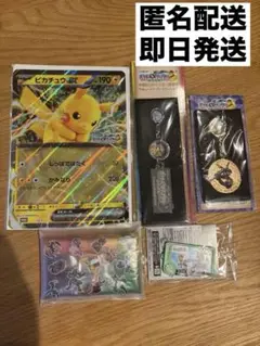 ポケモンメガスタンプラリー2025 景品5点セット JR東日本