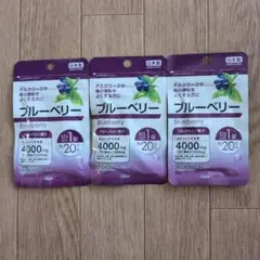 ブルーベリー サプリメント 3袋 日本製