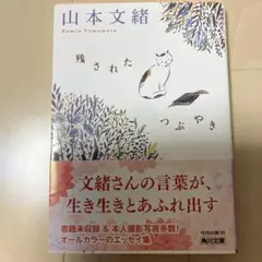 残されたつぶやき　文庫本