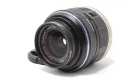 Item thumbnail for item 74205fe8-2cfa-495b-b55c-c58a3f715c6f