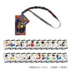 【新品未開封】ハイキュー!! バックステージパス