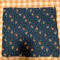 Item thumbnail for item 9c098f4a-0e0a-42a7-b32f-ddcca6dde6f0