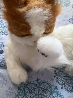夢ねこ ヴィーナス 猫 おもちゃ　ぬいぐるみ Amazon.co.jp: 夢ねこ ヴィーナス : おもちゃ