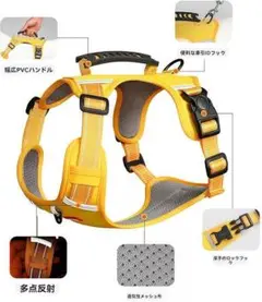 Item thumbnail for item b8acc655-e087-4a03-872f-9a701dc17519