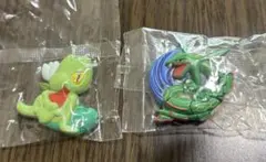ポケモン　レックウザ　キモリ　マグネットセット